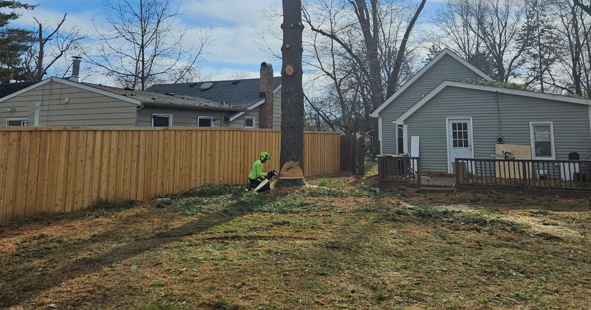 How Much Does Tree Removal Cost? What Indianapolis Homeowners Need to Know